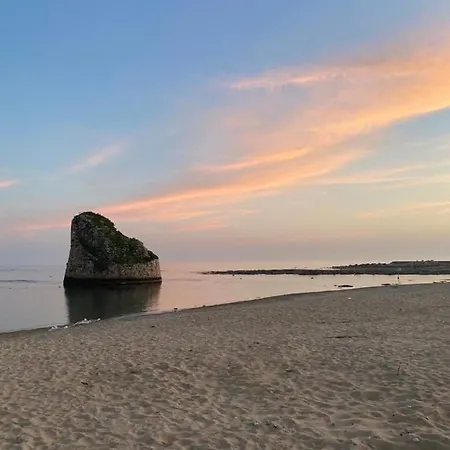 Salee-nto Torre Pali